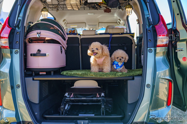愛犬家に根強い人気のフリードには、リヤに「エアバギー」の大型ペットカートがピッタリ収まる。