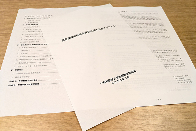 損保協会「保険金支払ガイドライン」改定の深層…各社任せの運用基準とユーザーに求められる選択眼 画像