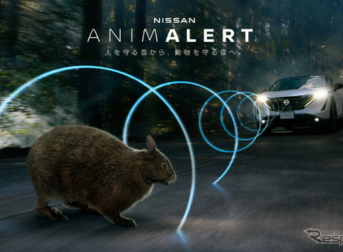 日産、野生動物の安全確保へ新プロジェクト…絶滅危惧種アマミノクロウサギのロードキル防止を目指す 画像