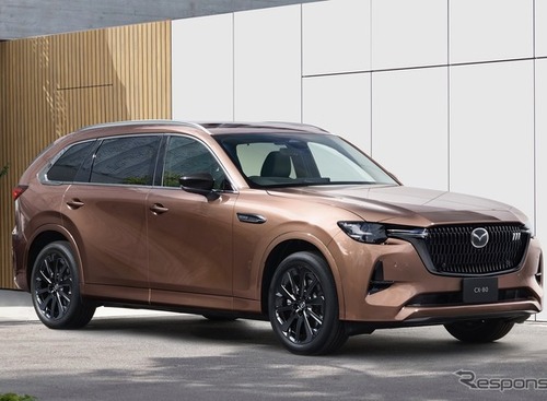 愛犬の車酔い、半数が「NG行動」を選択---マツダがドッグカフェ開催 画像