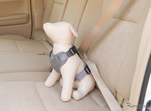 コンビのペットブランド「コムペット」、シートベルトを通すだけの「カーリンク ハーネス」発売へ 画像