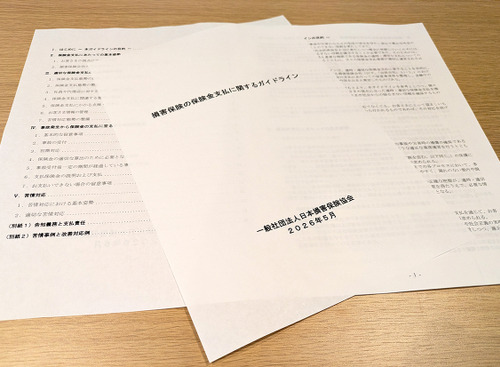 損保協会「保険金支払ガイドライン」改定の深層…各社任せの運用基準とユーザーに求められる選択眼 画像