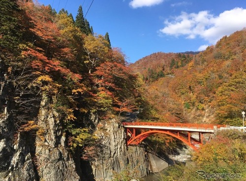 移住と観光バス運転手の仕事を体験…長野・森宮交通が無料ツアー　11月3日 画像