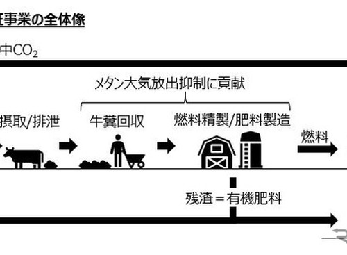 牛の糞尿で車を走らせる「バイオガス事業」を開始…スズキとインド政府関係機関 画像