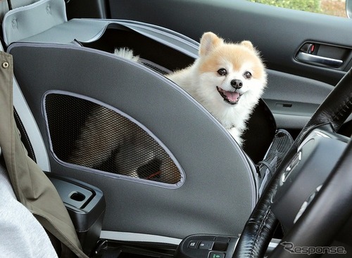ホンダのミニバンで「愛犬用アクセサリー」を体感…しっぽフェスタ　11月26-27日 画像