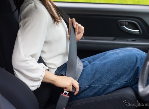 シートベルトによる肋骨骨折、「骨密度」との関係は？男女差は？【岩貞るみこの人道車医】 画像