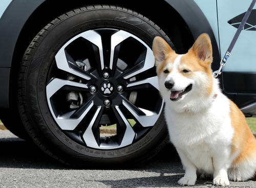 愛犬家の4人に1人、お泊り旅行の経験あり…ホンダアクセス調べ 画像