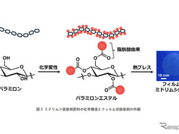 ミドリムシを接着剤に、自動車構造材に革新　旭化成らが開発