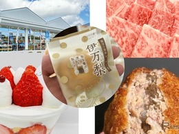 道の駅伊万里、リニューアル1周年記念イベント3月20-22日開催…伊万里牛の振る舞いや限定スイーツ販売も