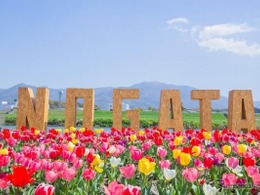 スズキ電動台車『MITRA』とAIカメラで駐車場渋滞を解消、直方市チューリップフェアで実証実験　4月5日