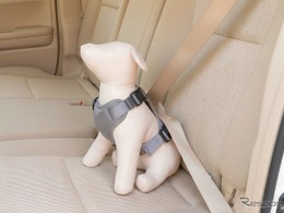 コンビのペットブランド「コムペット」、シートベルトを通すだけの「カーリンク ハーネス」発売へ