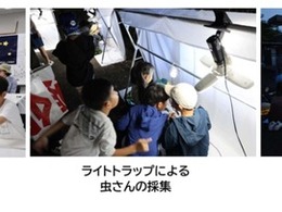 高松道の高瀬PAでライトトラップ虫採集、7月24日開催へ…応募締め切りは7月12日