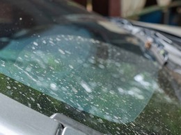 洗車を少しサボったら「白いウロコ汚れ」「黒い筋」などが残る…車の水アカを落とす正しい方法とは？　デメリットと注意点を知る