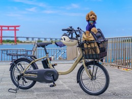 浜名湖で「わんこと乗れるレンタサイクル」10月から開始…ヤマハ、JR東海ら4者が実証実験