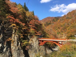 移住と観光バス運転手の仕事を体験…長野・森宮交通が無料ツアー　11月3日