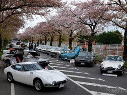 桜吹雪と名車の饗宴…オールドカーミーティングin清久さくらまつり 画像
