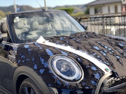 岡山デニム仕様のMINI、コンセプトカー『BLUE DRIVE』制作中 画像