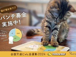 猫パンチで募金だ!!…イエローハットが猫の交通安全を守るキャンペーン 画像