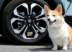 どこ行きたい？ 愛犬とのお泊まり旅行、意外と多いかも…あると便利なワンちゃんカーグッズ 画像