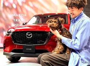 「MAZDA TRANS AOYAMA」、週末限定ドッグカフェ開催へ…11月16日から 画像