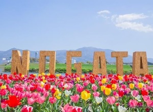 スズキ電動台車『MITRA』とAIカメラで駐車場渋滞を解消、直方市チューリップフェアで実証実験　4月5日 画像