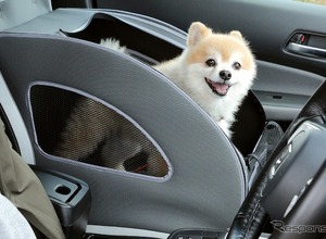 愛犬に優しい、ホンダ車＆純正アクセサリーを紹介予定…インターペット2023 画像