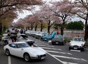 桜吹雪と名車の饗宴…オールドカーミーティングin清久さくらまつり 画像