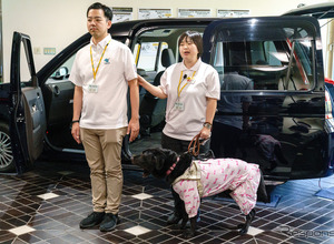 盲導犬のタクシー乗車拒否ゼロを目指す取り組み…日本盲導犬協会と東京タクシーセンターがコラボ 画像