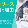 カーリースに期待するのは「価格と手続き」、家族構成で異なるニーズも 画像