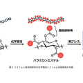 ミドリムシを接着剤に、自動車構造材に革新　旭化成らが開発 画像