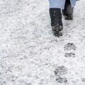 今冬一番の寒波襲来、平地でも警報級大雪、立ち往生など交通障害の恐れ［新聞ウォッチ］ 画像