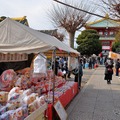 ニューイヤークラシックカーミーティング in 佐野うんめぇもん祭り