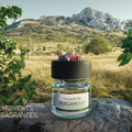 BMWの香水「BERGAMOOD」