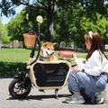 Doggie ベージュ