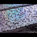 デニムコンセプトボルボトラック「BLUE BLOOD」