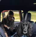 「いすゞD-Max×Ruffwearコレクション」