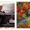 訪日富裕層向けプレミアム紅葉ハイヤープラン「THE AUTUMN LUXURY RIDE」