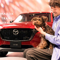 MAZDA TRANS AOYAMA ドッグカフェ