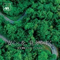 アクサ損保、「安全運転ファクトブック2026」発行…疾病起因事故や小規模事故の実態を解説 画像