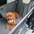 純正愛犬用アクセサリー「Honda Dog」シリーズペットシートサークル
