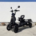 ブレイズの4輪特定小型原付「e-CARGO」、初の東京実車展示へ…FIELDSTYLE TOKYO 2026 画像