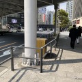 東京・西銀座の二重になっているガードレール