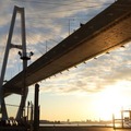 伊勢湾岸道・新名神で集中工事、5月11日から車線規制や通行止め 画像
