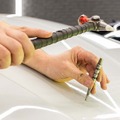 資材不足時代における省力化・低コスト化への一手…再塗装前提の「デントリペア」に注目集まる 画像