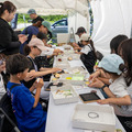 スターキャンプ2026 in 朝霧高原