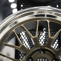 RAYS…WEKFEST