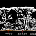 点群データ断面からわかるマウンドと森林構造