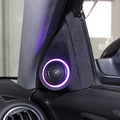 「ドアスピーカー」の「アウター化」が実行されたオーディオカーの一例（製作ショップ:ワープス＜広島県＞）。