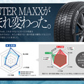 ダンロップ『ICE Pro』