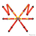 MOMO PRO RACING 6P（レッド）